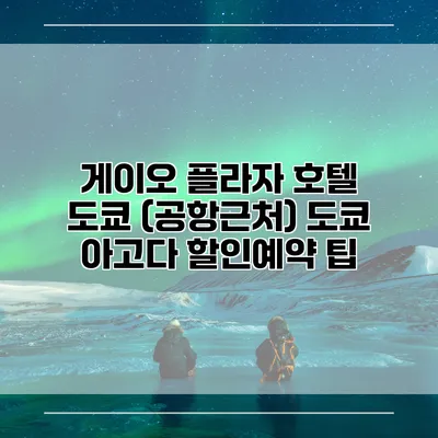 게이오 플라자 호텔 도쿄 (공항근처) 도쿄 아고다 할인예약 팁