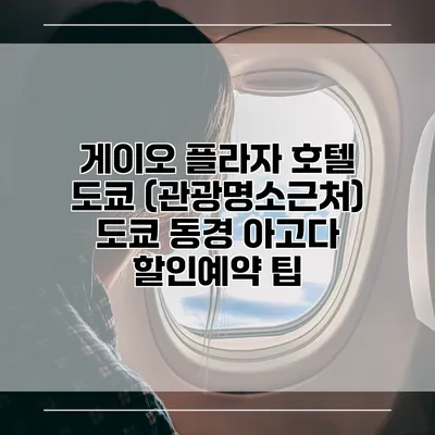 게이오 플라자 호텔 도쿄 (관광명소근처) 도쿄 동경 아고다 할인예약 팁