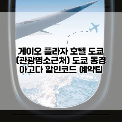 게이오 플라자 호텔 도쿄 (관광명소근처) 도쿄 동경 아고다 할인코드 예약팁