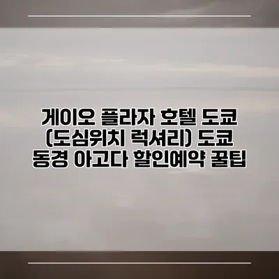 게이오 플라자 호텔 도쿄 (도심위치 럭셔리) 도쿄 동경 아고다 할인예약 꿀팁