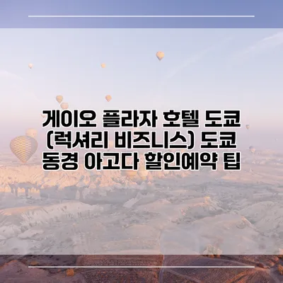 게이오 플라자 호텔 도쿄 (럭셔리 비즈니스) 도쿄 동경 아고다 할인예약 팁