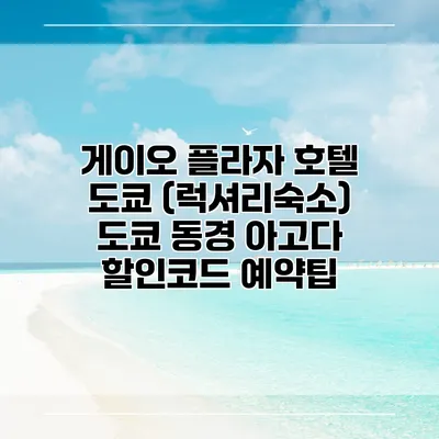 게이오 플라자 호텔 도쿄 (럭셔리숙소) 도쿄 동경 아고다 할인코드 예약팁