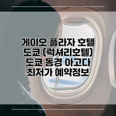 게이오 플라자 호텔 도쿄 (럭셔리호텔) 도쿄 동경 아고다 최저가 예약정보