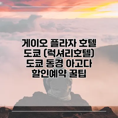 게이오 플라자 호텔 도쿄 (럭셔리호텔) 도쿄 동경 아고다 할인예약 꿀팁