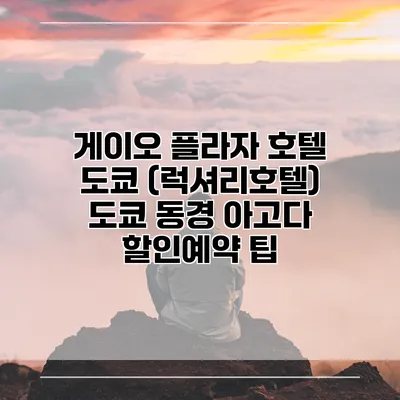 게이오 플라자 호텔 도쿄 (럭셔리호텔) 도쿄 동경 아고다 할인예약 팁