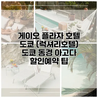 게이오 플라자 호텔 도쿄 (럭셔리호텔) 도쿄 동경 아고다 할인예약 팁