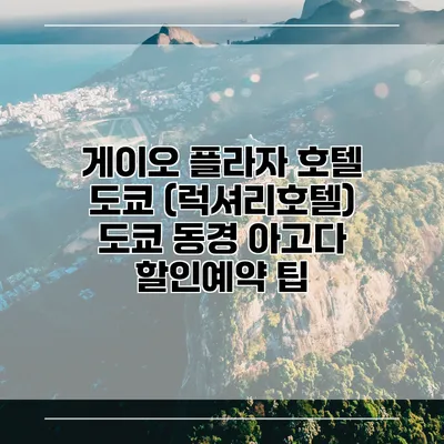 게이오 플라자 호텔 도쿄 (럭셔리호텔) 도쿄 동경 아고다 할인예약 팁