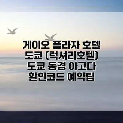 게이오 플라자 호텔 도쿄 (럭셔리호텔) 도쿄 동경 아고다 할인코드 예약팁