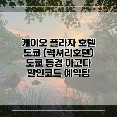 게이오 플라자 호텔 도쿄 (럭셔리호텔) 도쿄 동경 아고다 할인코드 예약팁