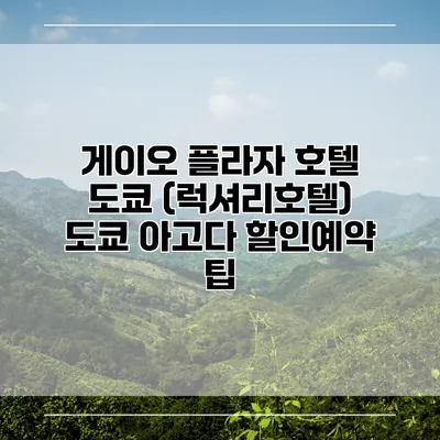 게이오 플라자 호텔 도쿄 (럭셔리호텔) 도쿄 아고다 할인예약 팁