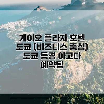 게이오 플라자 호텔 도쿄 (비즈니스 중심) 도쿄 동경 아고다 예약팁