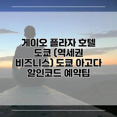 게이오 플라자 호텔 도쿄 (역세권 비즈니스) 도쿄 아고다 할인코드 예약팁