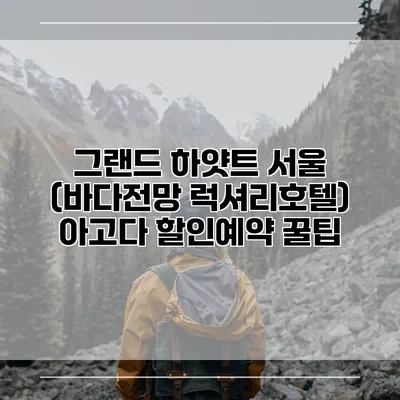 그랜드 하얏트 서울 (바다전망 럭셔리호텔) 아고다 할인예약 꿀팁