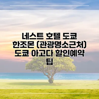 네스트 호텔 도쿄 한조몬 (관광명소근처) 도쿄 아고다 할인예약 팁