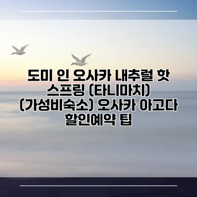 도미 인 오사카 내추럴 핫 스프링 (타니마치) (가성비숙소) 오사카 아고다 할인예약 팁