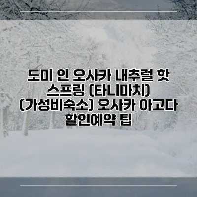 도미 인 오사카 내추럴 핫 스프링 (타니마치) (가성비숙소) 오사카 아고다 할인예약 팁