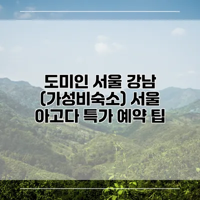도미인 서울 강남 (가성비숙소) 서울 아고다 특가 예약 팁