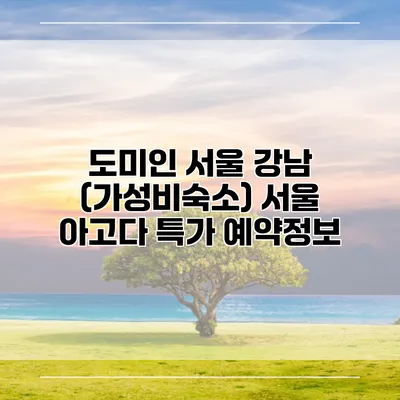 도미인 서울 강남 (가성비숙소) 서울 아고다 특가 예약정보