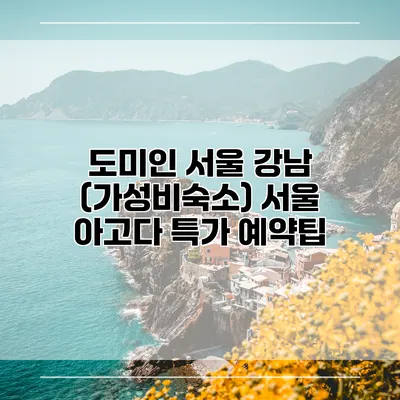 도미인 서울 강남 (가성비숙소) 서울 아고다 특가 예약팁