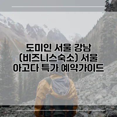 도미인 서울 강남 (비즈니스숙소) 서울 아고다 특가 예약가이드