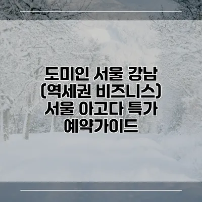 도미인 서울 강남 (역세권 비즈니스) 서울 아고다 특가 예약가이드