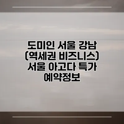 도미인 서울 강남 (역세권 비즈니스) 서울 아고다 특가 예약정보