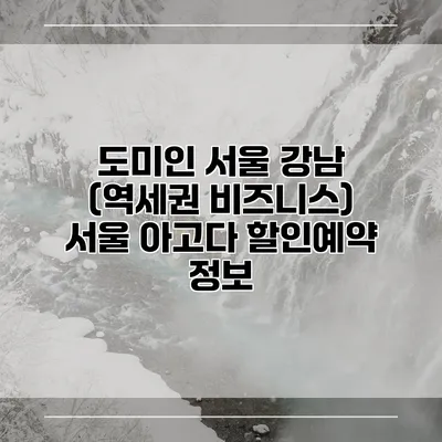 도미인 서울 강남 (역세권 비즈니스) 서울 아고다 할인예약 정보