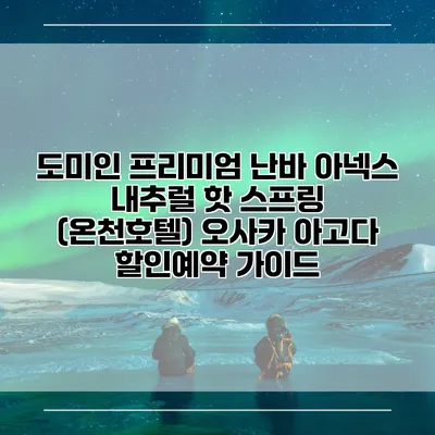 도미인 프리미엄 난바 아넥스 내추럴 핫 스프링 (온천호텔) 오사카 아고다 할인예약 가이드
