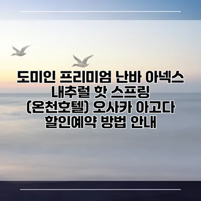 도미인 프리미엄 난바 아넥스 내추럴 핫 스프링 (온천호텔) 오사카 아고다 할인예약 방법 안내