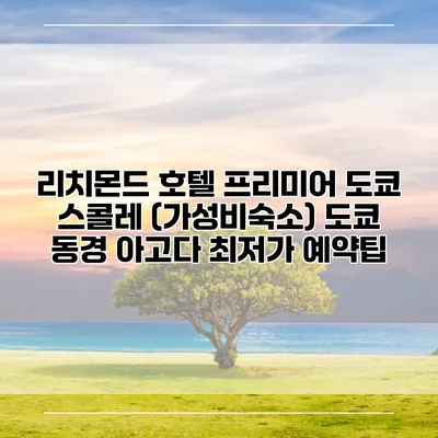 리치몬드 호텔 프리미어 도쿄 스콜레 (가성비숙소) 도쿄 동경 아고다 최저가 예약팁