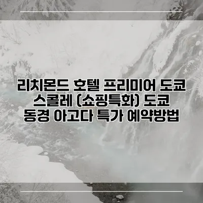 리치몬드 호텔 프리미어 도쿄 스콜레 (쇼핑특화) 도쿄 동경 아고다 특가 예약방법