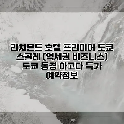 리치몬드 호텔 프리미어 도쿄 스콜레 (역세권 비즈니스) 도쿄 동경 아고다 특가 예약정보