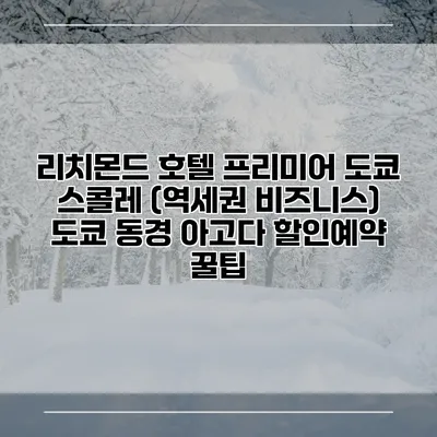 리치몬드 호텔 프리미어 도쿄 스콜레 (역세권 비즈니스) 도쿄 동경 아고다 할인예약 꿀팁