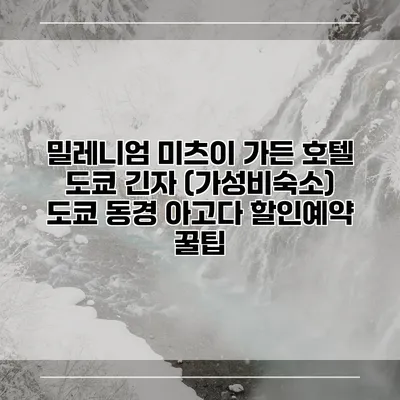 밀레니엄 미츠이 가든 호텔 도쿄 긴자 (가성비숙소) 도쿄 동경 아고다 할인예약 꿀팁
