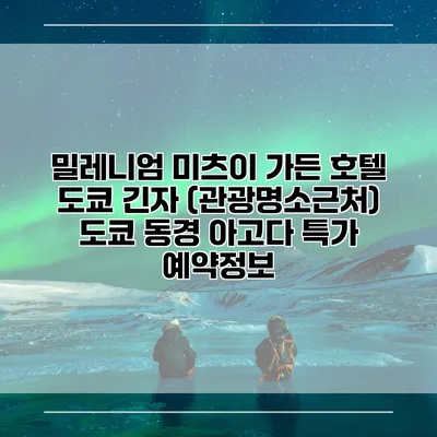 밀레니엄 미츠이 가든 호텔 도쿄 긴자 (관광명소근처) 도쿄 동경 아고다 특가 예약정보