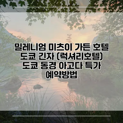 밀레니엄 미츠이 가든 호텔 도쿄 긴자 (럭셔리호텔) 도쿄 동경 아고다 특가 예약방법