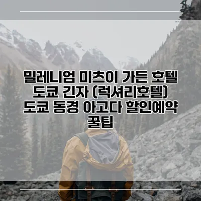 밀레니엄 미츠이 가든 호텔 도쿄 긴자 (럭셔리호텔) 도쿄 동경 아고다 할인예약 꿀팁
