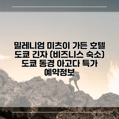 밀레니엄 미츠이 가든 호텔 도쿄 긴자 (비즈니스 숙소) 도쿄 동경 아고다 특가 예약정보