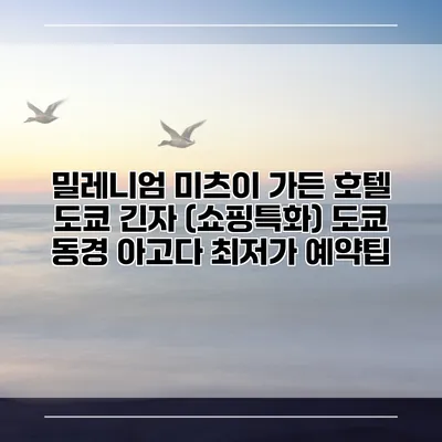 밀레니엄 미츠이 가든 호텔 도쿄 긴자 (쇼핑특화) 도쿄 동경 아고다 최저가 예약팁