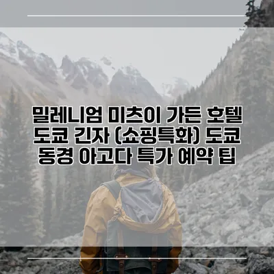 밀레니엄 미츠이 가든 호텔 도쿄 긴자 (쇼핑특화) 도쿄 동경 아고다 특가 예약 팁