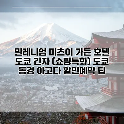 밀레니엄 미츠이 가든 호텔 도쿄 긴자 (쇼핑특화) 도쿄 동경 아고다 할인예약 팁