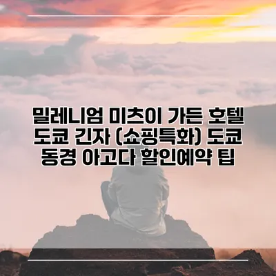 밀레니엄 미츠이 가든 호텔 도쿄 긴자 (쇼핑특화) 도쿄 동경 아고다 할인예약 팁