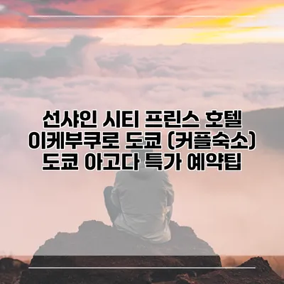 선샤인 시티 프린스 호텔 이케부쿠로 도쿄 (커플숙소) 도쿄 아고다 특가 예약팁