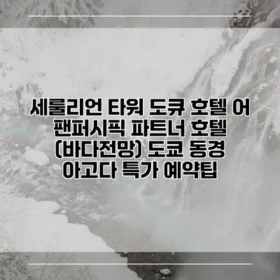 세룰리언 타워 도큐 호텔 어 팬퍼시픽 파트너 호텔 (바다전망) 도쿄 동경 아고다 특가 예약팁