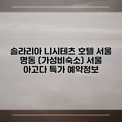 솔라리아 니시테츠 호텔 서울 명동 (가성비숙소) 서울 아고다 특가 예약정보