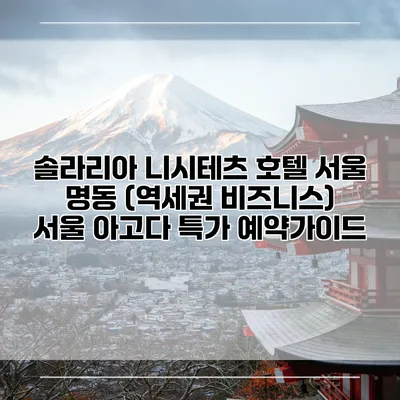 솔라리아 니시테츠 호텔 서울 명동 (역세권 비즈니스) 서울 아고다 특가 예약가이드