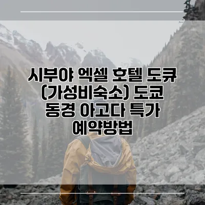 시부야 엑셀 호텔 도큐 (가성비숙소) 도쿄 동경 아고다 특가 예약방법