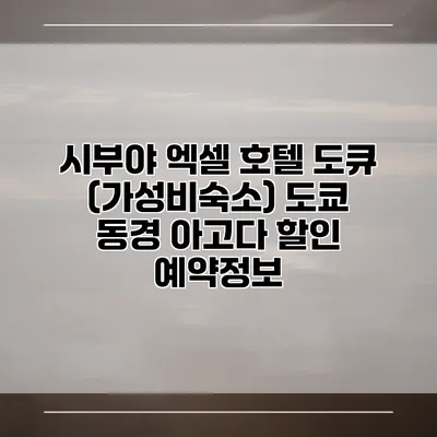 시부야 엑셀 호텔 도큐 (가성비숙소) 도쿄 동경 아고다 할인 예약정보