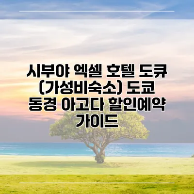시부야 엑셀 호텔 도큐 (가성비숙소) 도쿄 동경 아고다 할인예약 가이드