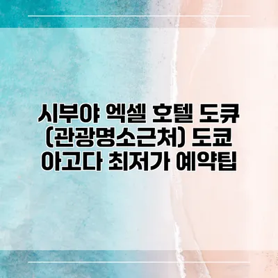 시부야 엑셀 호텔 도큐 (관광명소근처) 도쿄 아고다 최저가 예약팁